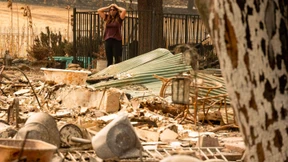 Warum die Waldbrände so riesig werden konnten