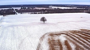 USA plant riesiges Subventionspaket für Mikrochips