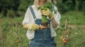 In meinem Garten entfliehe ich der Welt