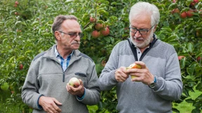 Ohne Streuobstwiesen keinen Apfelwein