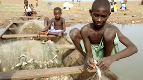 Studie: 29 Millionen Sklaven