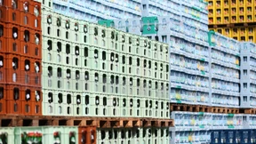 Die Bäume wachsen nicht in den Himmel