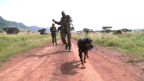 Hunde erschnüffeln Wilderer in Kenia