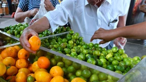 Kostenlose Früchte für L.A. 