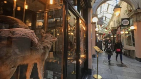 Aus allen Ecken eilen die Freudenmädchen herbei