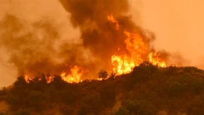 Waldbrände wüten im Westen Kanadas und in Kalifornien