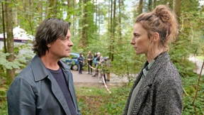 Im Internet des Waldes hagelt’s Mozartkugeln