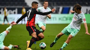 Mit Instinkt und Geistesblitzen