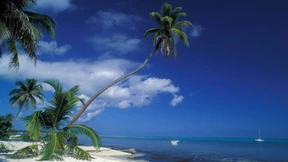 Pariser Gericht urteilt gegen illegale Streamingdienste