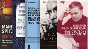 Kampflieder aus Nibelungenland