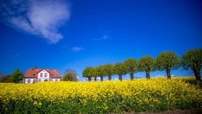 Homeoffice im Ferienhaus