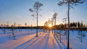 Ein Vielfraß ist unter uns