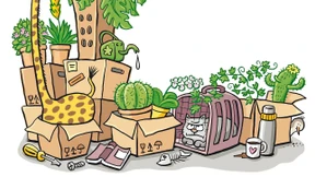 Rätselhafte Pflanzen im Winterschlaf