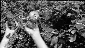 Drei Kinder spielten, dann waren es nur noch zwei