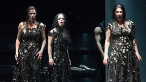 Putzig, diese Widder vor Frickas Wagen