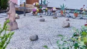 Neues Naturschutzgesetz sieht Verbot von Schottergärten vor