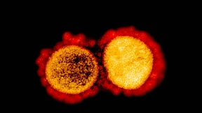 Wie das Virus dem Impftod entkommen will