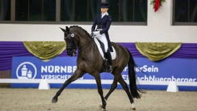 Festhalle light auf dem Schafhof