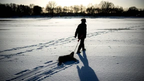 Jäger in Niedersachsen finden zahlreiche verendete Rehe