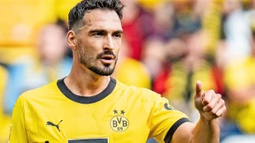 Die neue Struktur des BVB