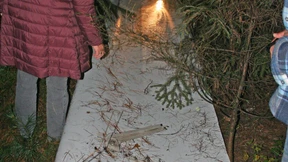 Wieder Flugzeugteile im Frankfurter Stadtwald gefunden