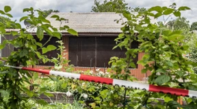 Entschlossen Kinder schützen