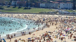 Urlaub im Markendschungel 