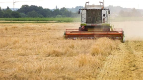 EU fährt Agrarsubventionen zurück