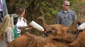 Melanias Mann kennt dieses Tier