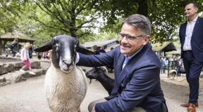 Wahlkampf zwischen Ziegen und Löffelhund