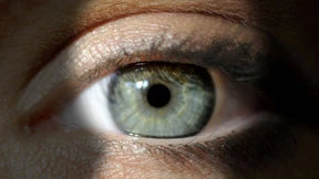 Wer kann der Blindheit entrinnen? 