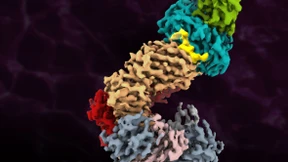 Biologe der Goethe-Uni erhält Stipendium von Columbia University