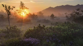 „Schutzgebiete sind eine Art Biodiversitätsbank“