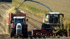 Deutsche Bank hält an Nahrungsmittel-Spekulation fest