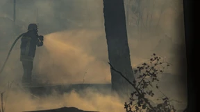 Neue Frühwarnsysteme für Waldbrände