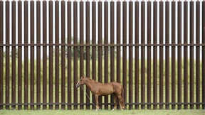 Erinnerungen auf der Spur