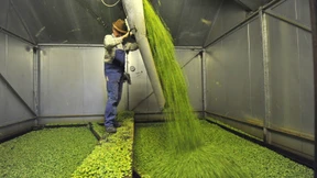 Vom Acker ins Gasnetz