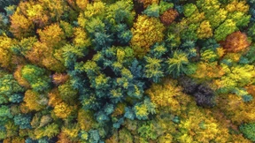 Wie man das CO2 aus der Luft entfernt