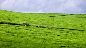 Landwirtschaft muss nicht schmutzig sein