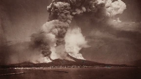 Suchen, sammeln, studieren