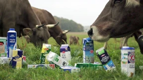 Schmidt fordert Zugeständnisse beim „Milchgipfel“