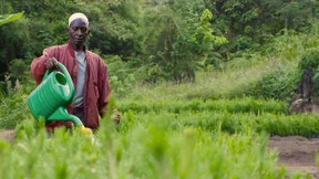 Metro „googelt“ jetzt grün