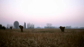 Über Gräben weht der Wind