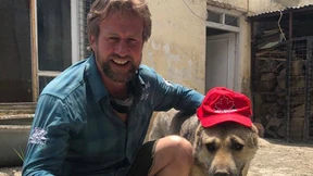 Katzen und Hunde aus Afghanistan ausgeflogen