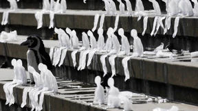 Im Prinzip ist die globale Energiewende machbar