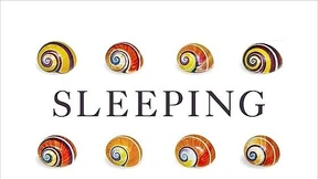 Erfolgsgeschichten beginnen mitunter spät