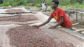 Kakao aus Kinderhand Kakao aus Kinderhand