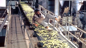 Lieber Fehler als Offenbarung