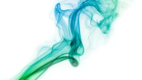 „Die Nase darf nicht übersättigt werden“