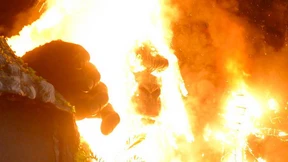 Feuer zerstört fünf Meter hohe Affenfigur